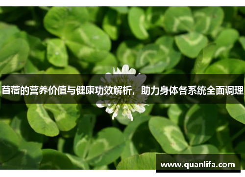 苜蓿的营养价值与健康功效解析，助力身体各系统全面调理