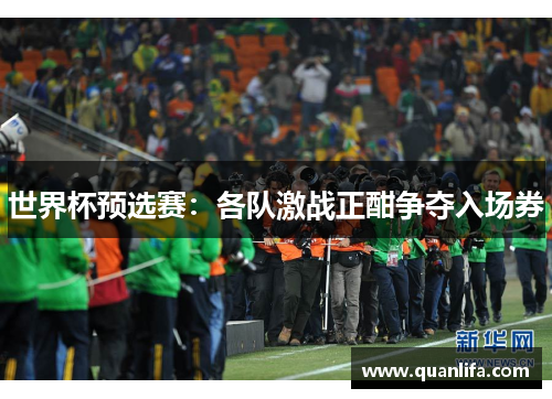 世界杯预选赛：各队激战正酣争夺入场券